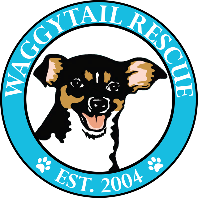 Waggytail Rescue